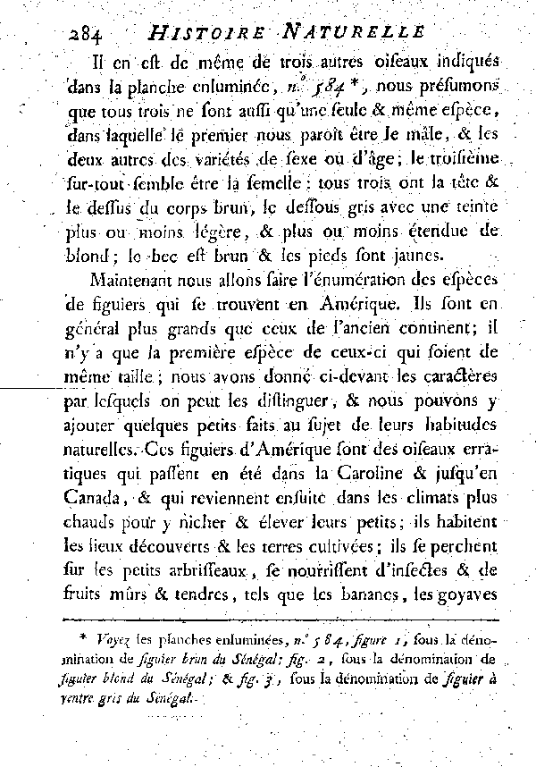 Le Figuer du Sénégal.