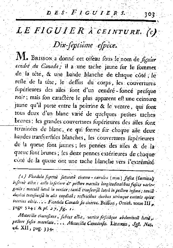 Le Figuier à ceinture. Dix-.