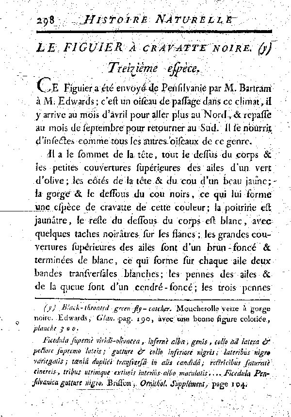 Le Figuier à cravate noire.