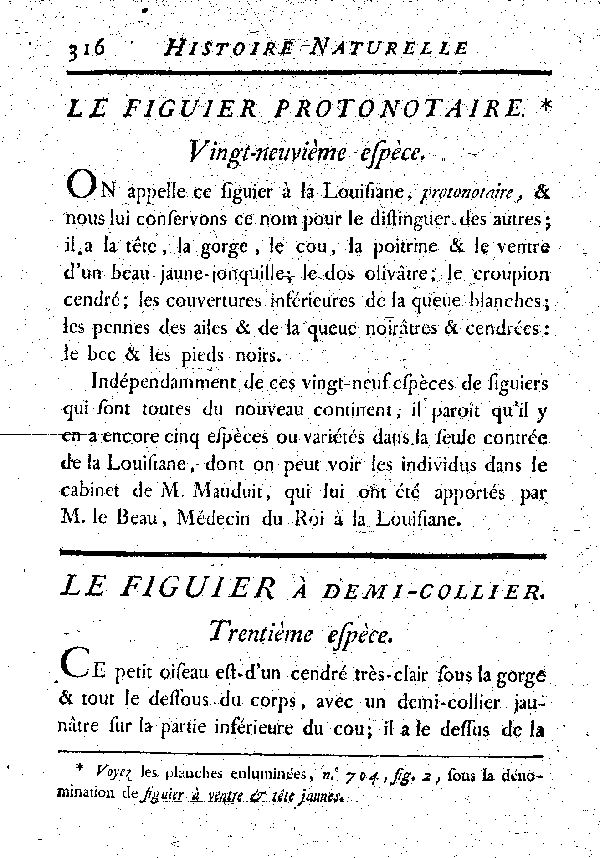 Le Figuier à demi-collier.