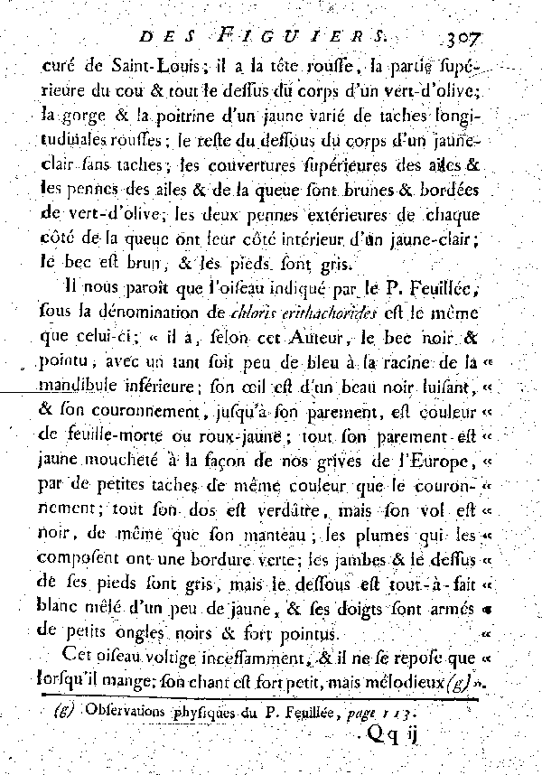 Le Figuier à tête rousse.