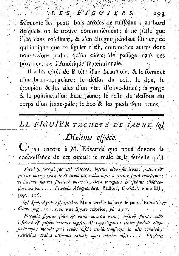 Le Figuier acheté de jaune.