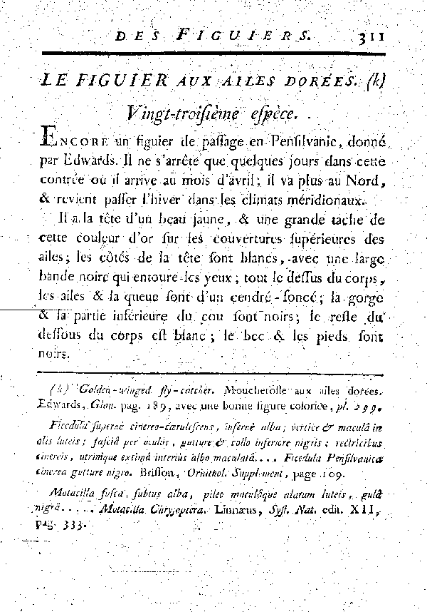 Le Figuier aux ailes dorées.