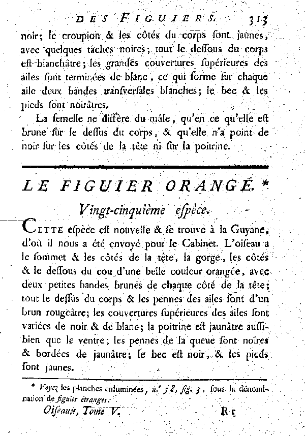 Le Figuier orangé. Vingt-