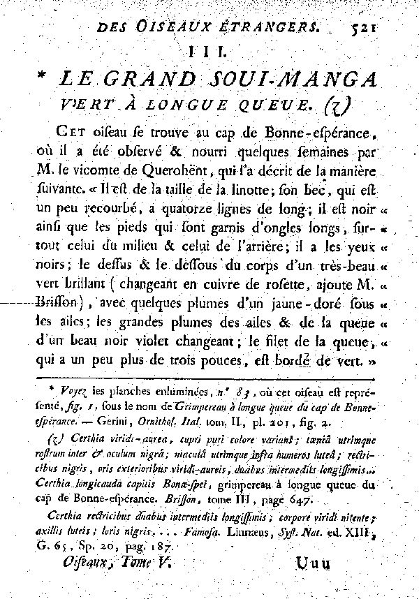 III. Le grand Soui-manga vert à longue queue