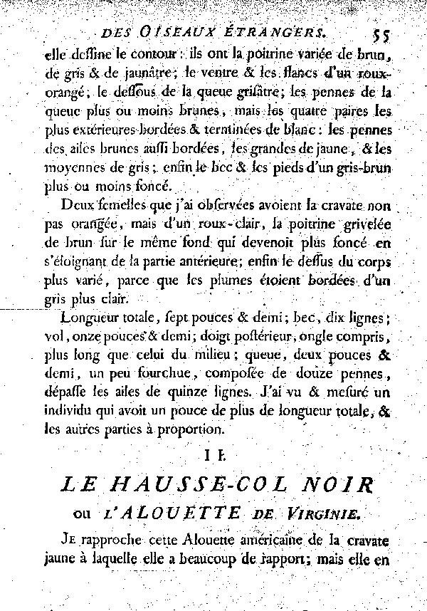 II. Le Hausse-col noir ou l'Alouette de Virginie.