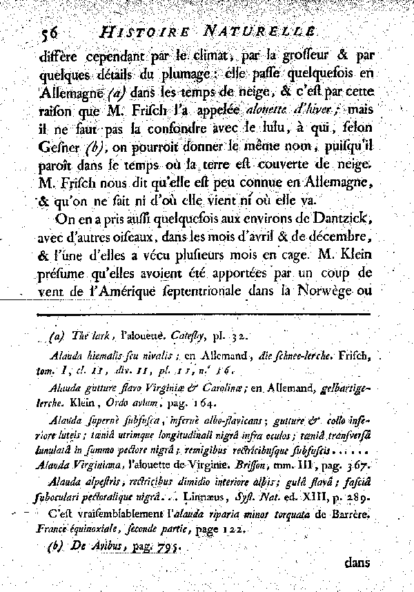 II. Le Hausse-col noir ou l'Alouette de Virginie.