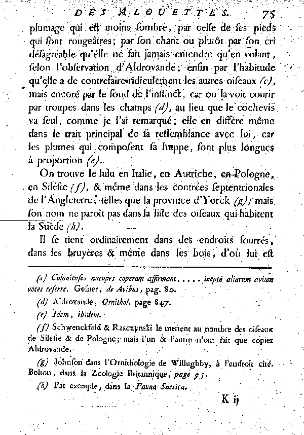 Le Lulu ou petite Alouette huppée