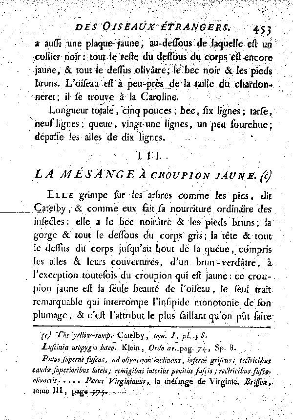 III. La Mésange à croupion jaune