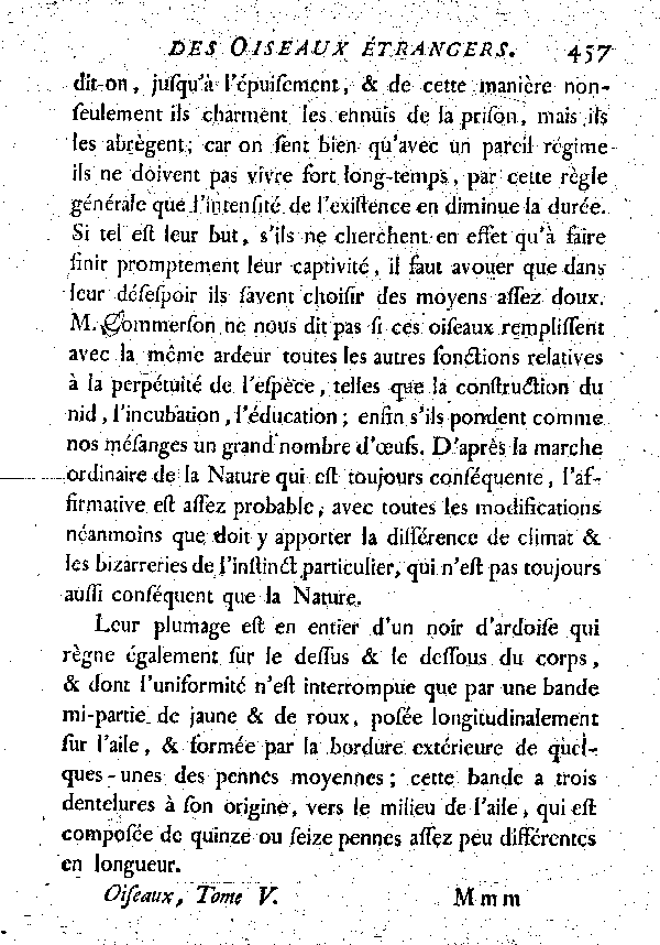 VI. La Mésange amoureuse.