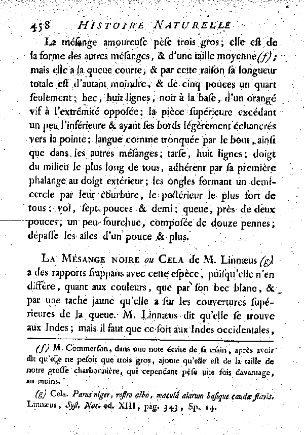 VI. La Mésange amoureuse.