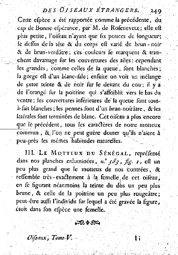 III. Motteux du Sénégal