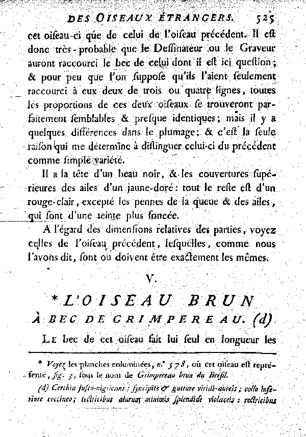 V. L'Oiseau brun à bec de Grimpereau