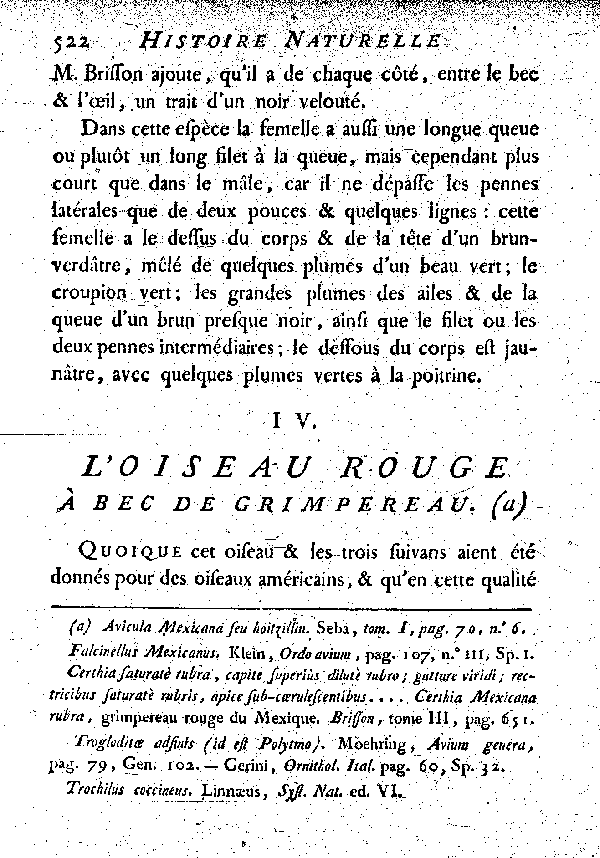 IV. L'Oiseau rouge à bec de Grimpereau