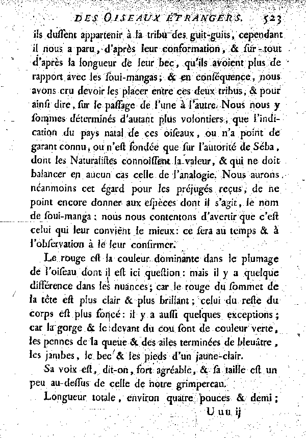 IV. L'Oiseau rouge à bec de Grimpereau