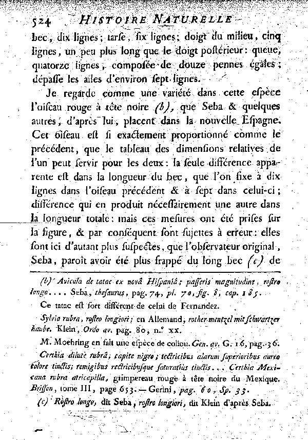 IV. L'Oiseau rouge à bec de Grimpereau