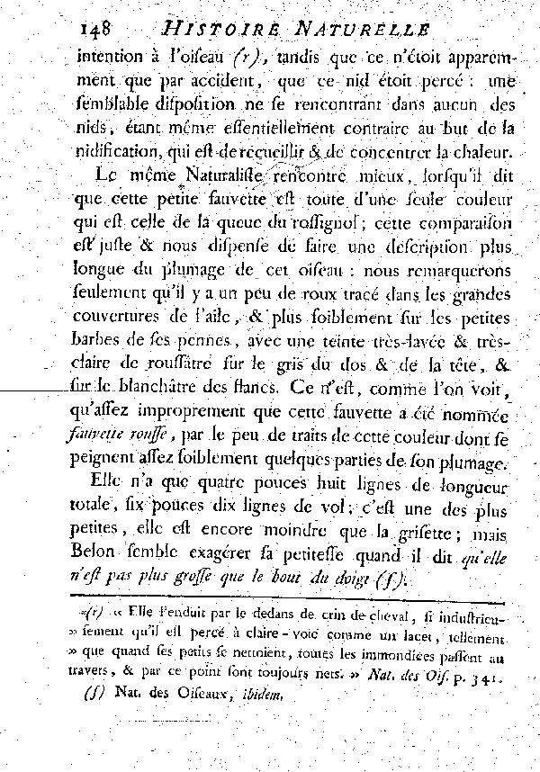 La petite Fauvette rousse.