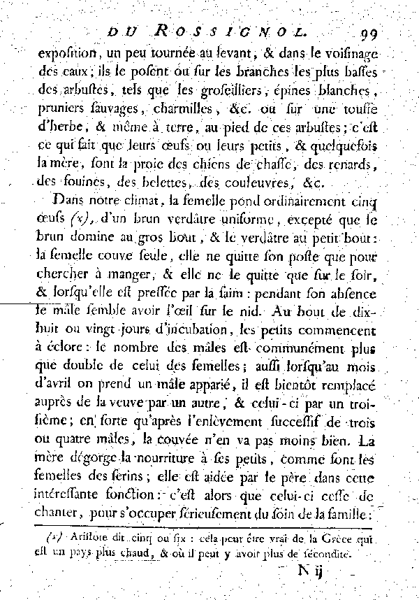 LE ROSSIGNOL