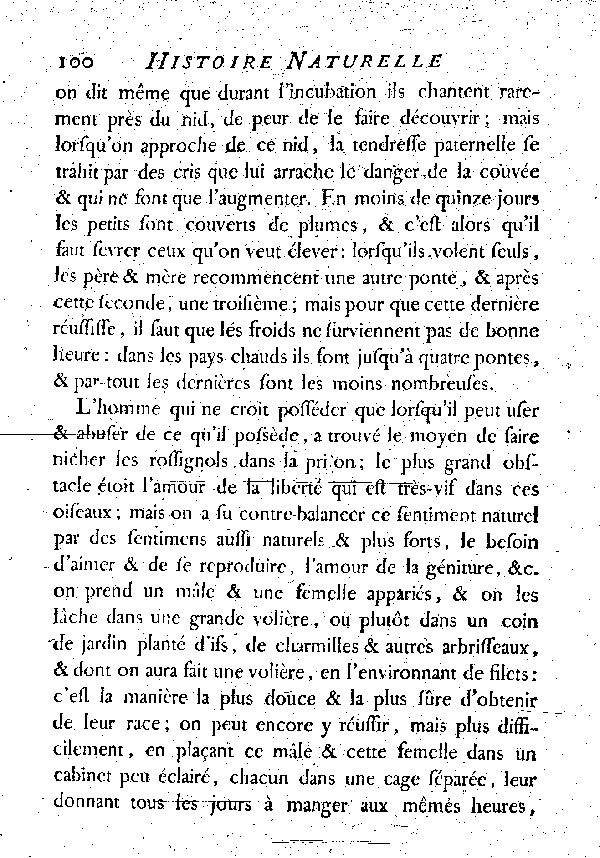 LE ROSSIGNOL