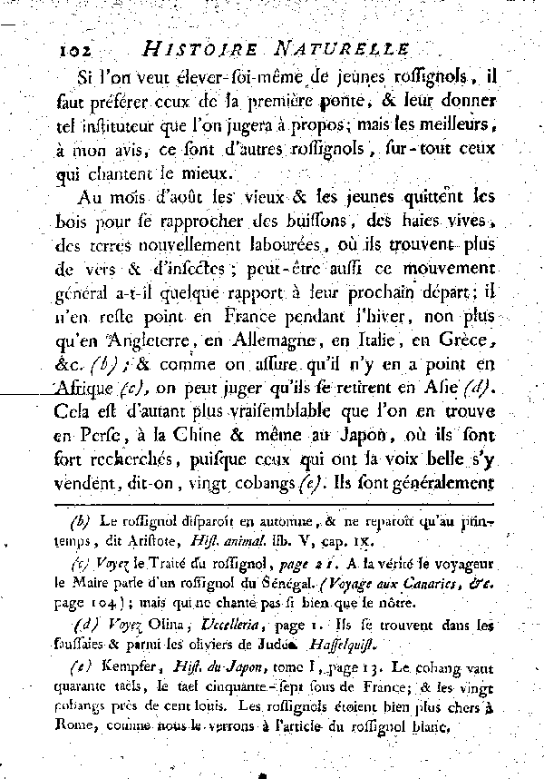 LE ROSSIGNOL