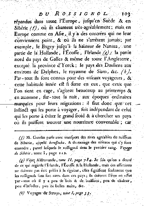 LE ROSSIGNOL