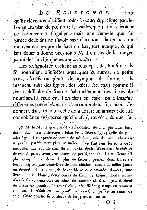 LE ROSSIGNOL