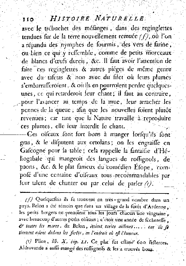 LE ROSSIGNOL