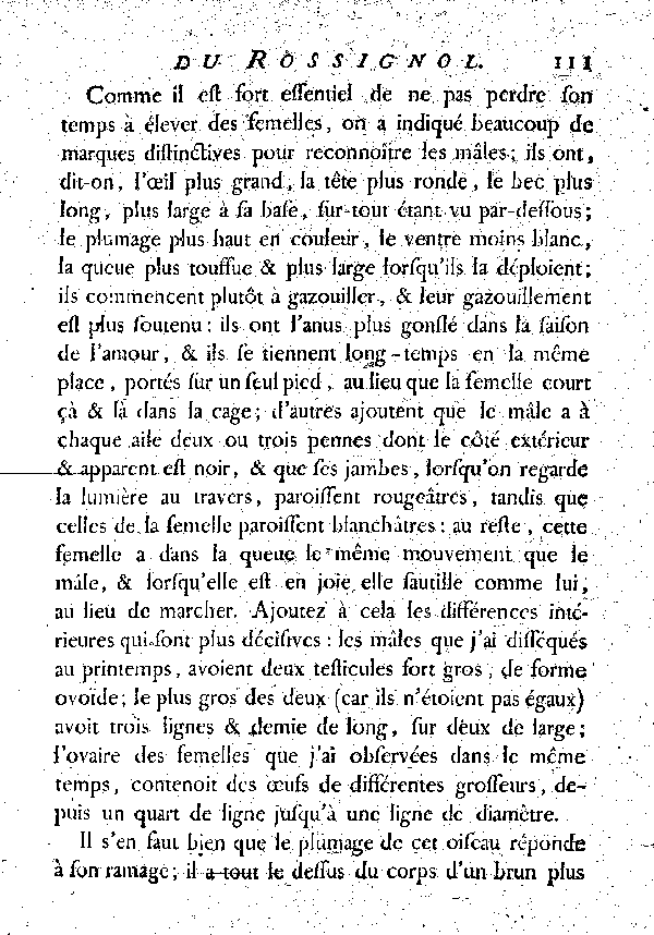 LE ROSSIGNOL