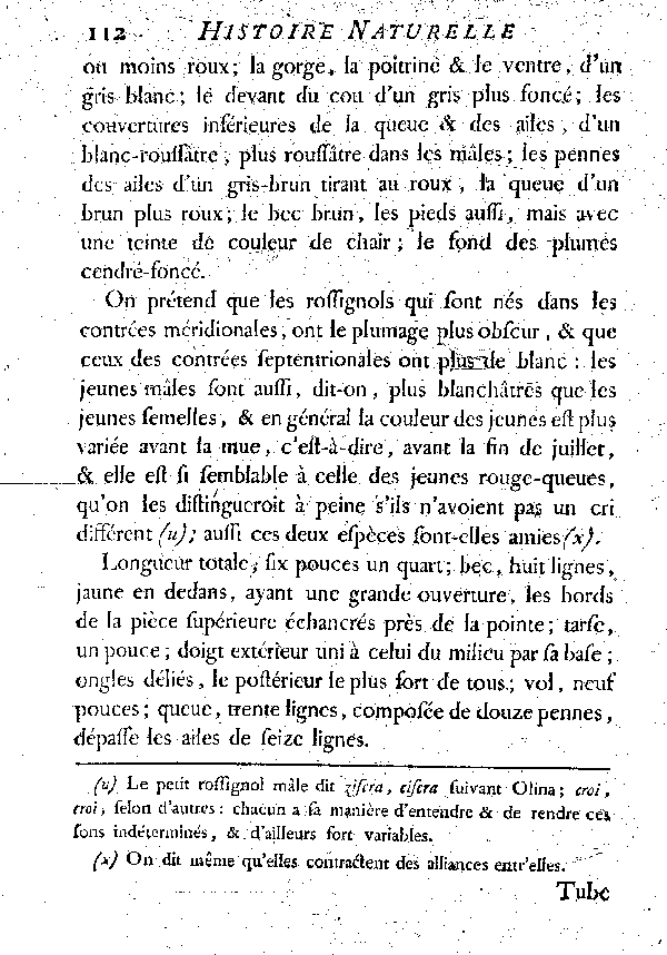 LE ROSSIGNOL