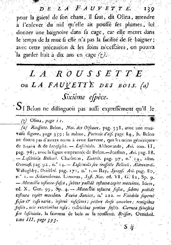 La Rousette ou Fauvette des bois