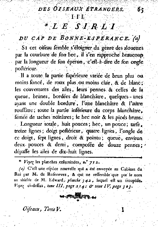 III. Le Sirli du cap de Bonne-espérance