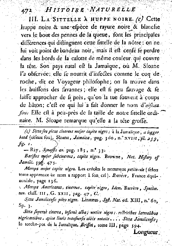 III. La Sittelle à huppe noire.