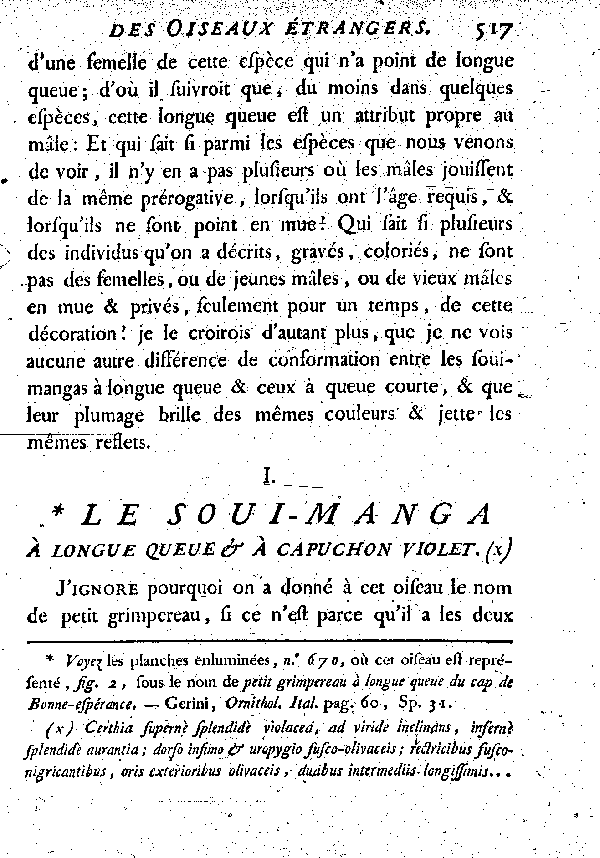 I. Le Soui-manga à longue queue et à capuchon violet.