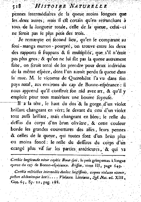 I. Le Soui-manga à longue queue et à capuchon violet.