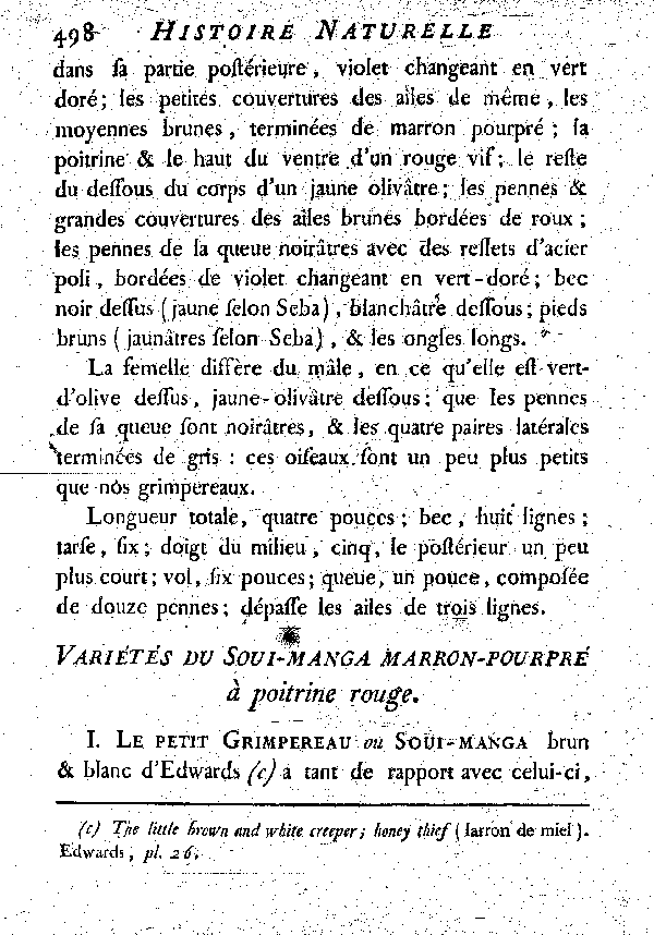 II. Le Soui-manga marron-pourpré a poitrine rouge.