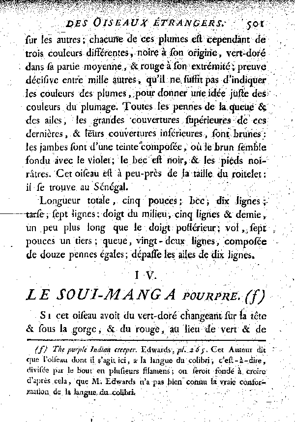 IV. Le Soui-manga pourpre