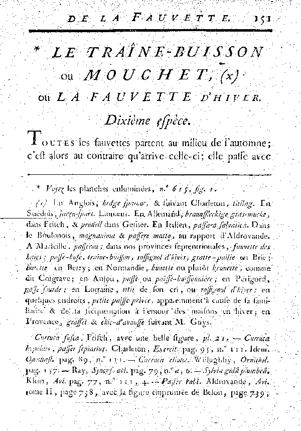 Le Traîne-buisson ou la Fauvette d'huver