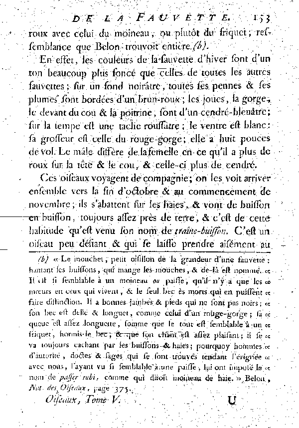 Le Traîne-buisson ou la Fauvette d'huver