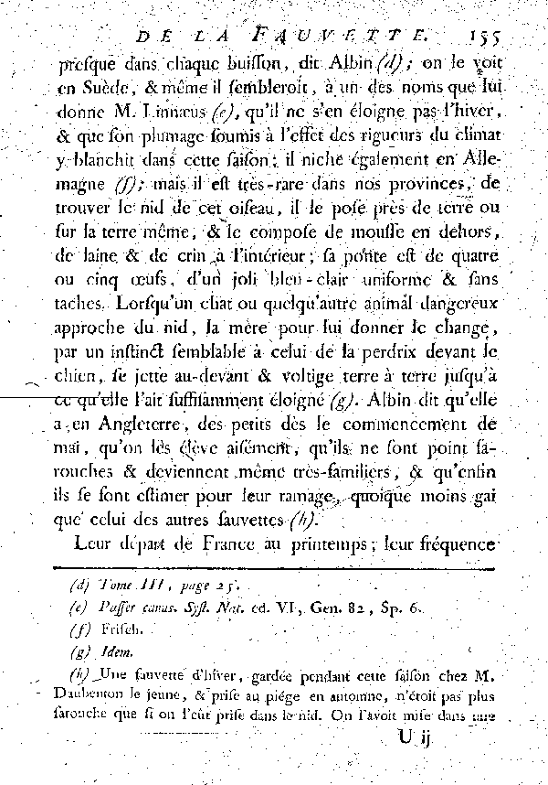 Le Traîne-buisson ou la Fauvette d'huver