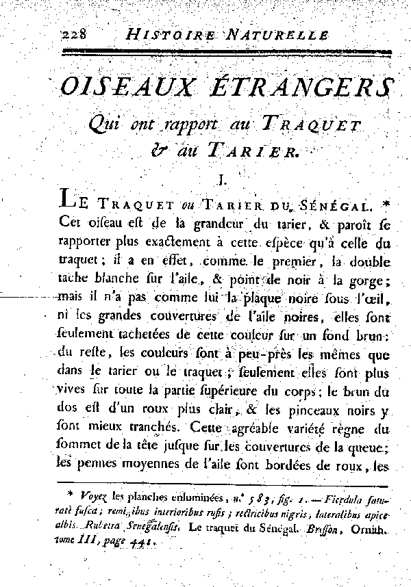 I. Le Traquet ou Tarier du Sénégal.