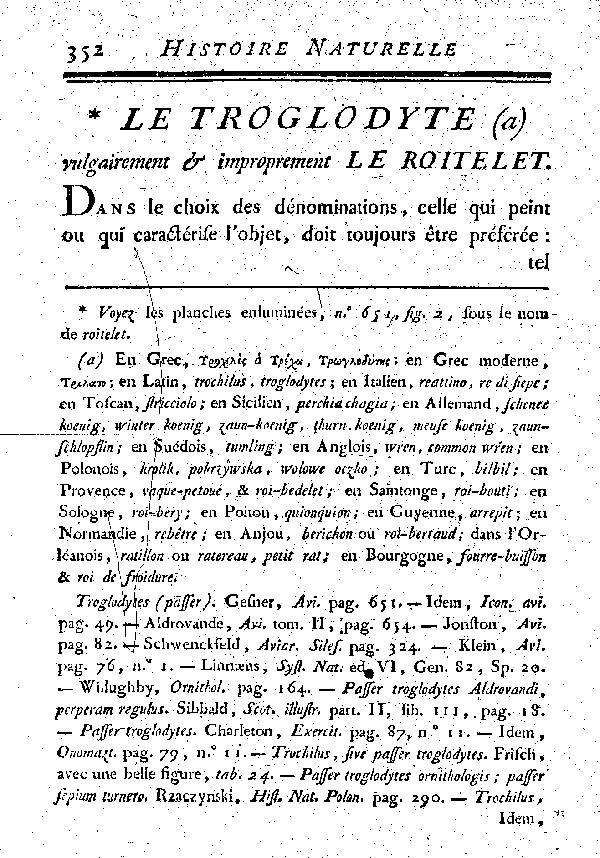 LE TROGLODYTE vulgairement et improprement le Roitelet.