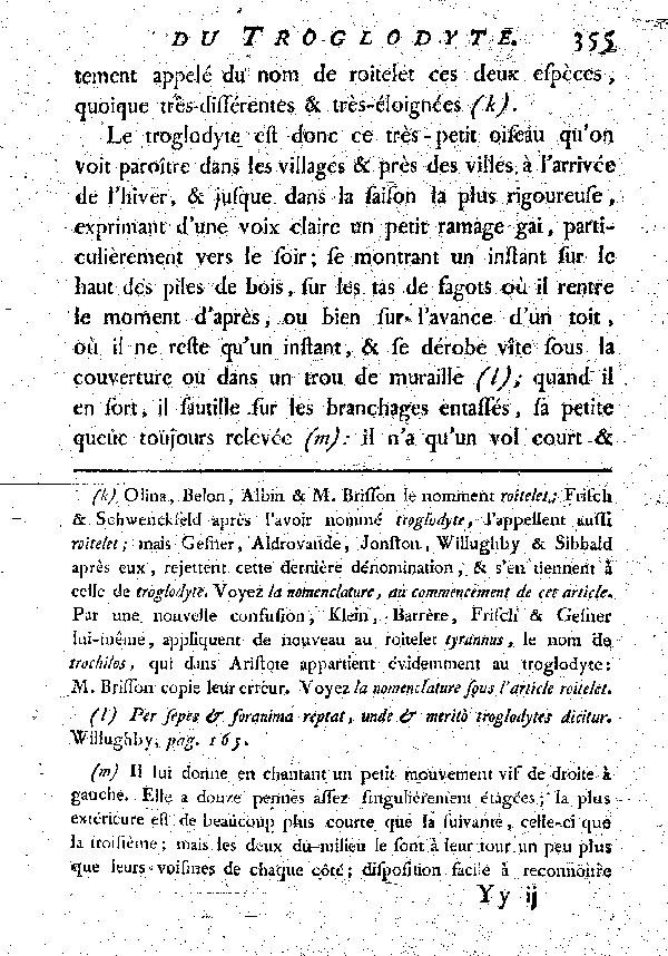 LE TROGLODYTE vulgairement et improprement le Roitelet.