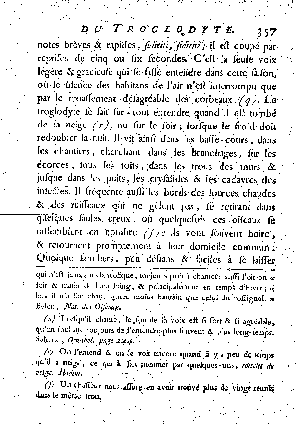 LE TROGLODYTE vulgairement et improprement le Roitelet.