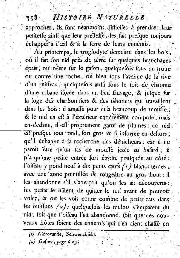 LE TROGLODYTE vulgairement et improprement le Roitelet.