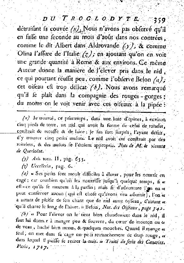 LE TROGLODYTE vulgairement et improprement le Roitelet.