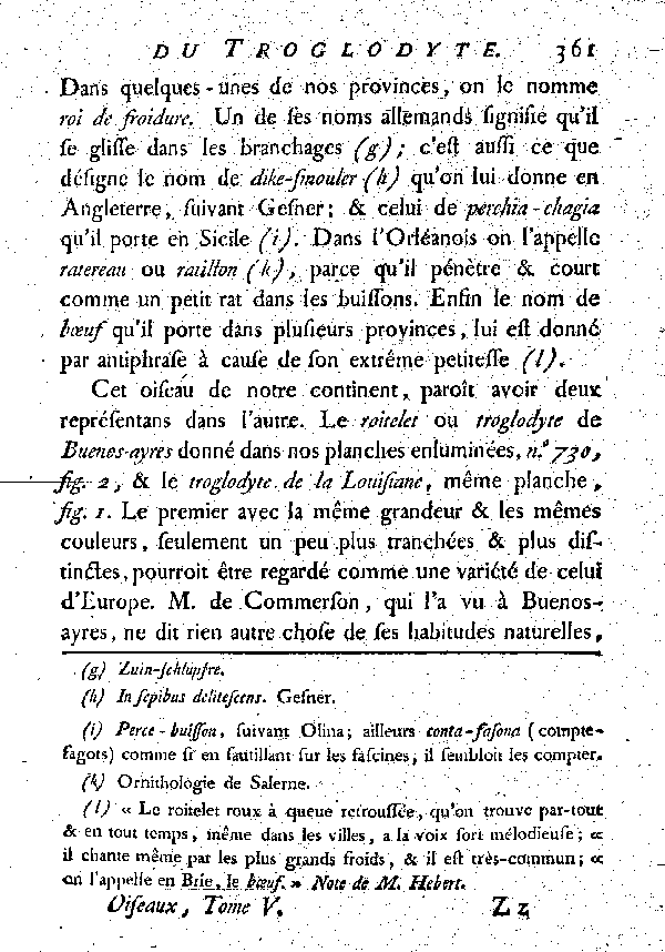 LE TROGLODYTE vulgairement et improprement le Roitelet.