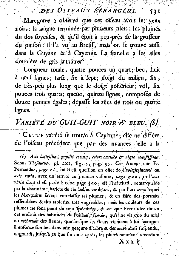 Variété du Guit-guit noir et bleu.