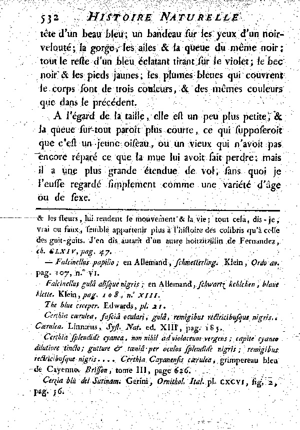 Variété du Guit-guit noir et bleu.