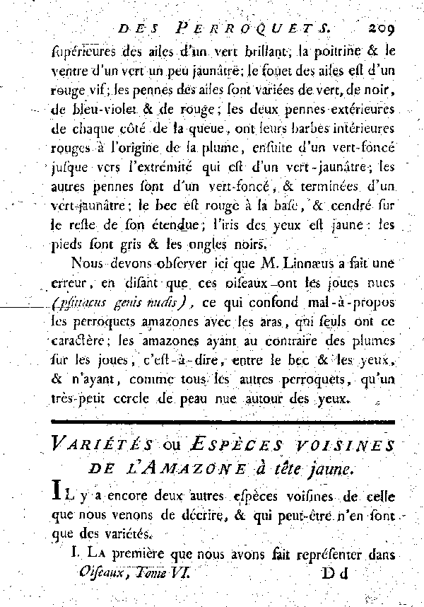 Variétés ou espèces voisines de l'Amazone à tête jaune.