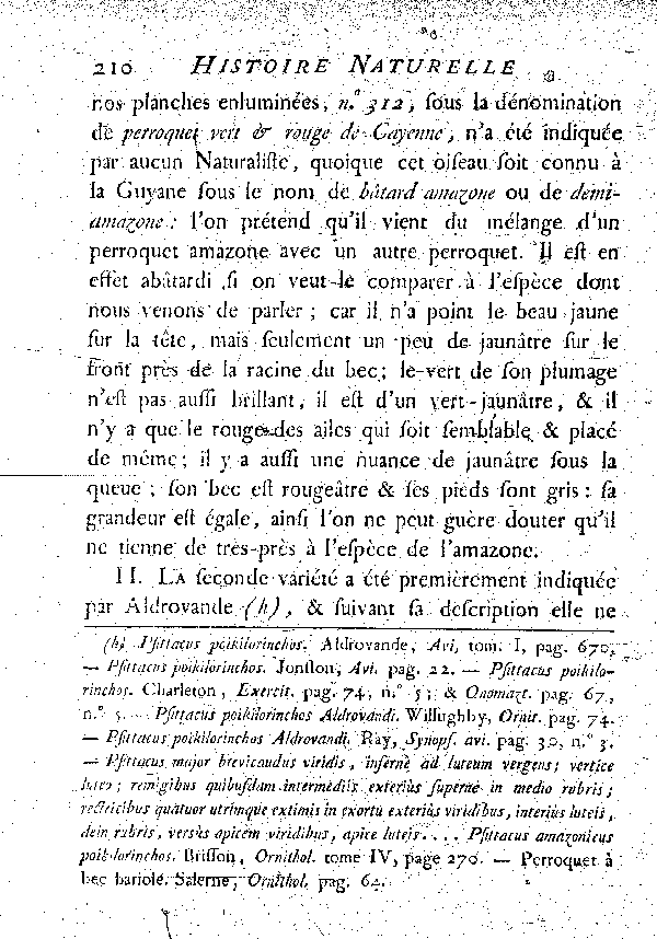 Variétés ou espèces voisines de l'Amazone à tête jaune.